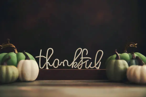 Photo of Thanksgiving and Fall Background with a Variety of Green and Teal Pumpkins and THANKFUL sign