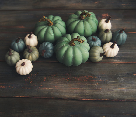 Thanksgiving and Fall Background with a Variety of Green and Teal Pumpkins and Copy Space