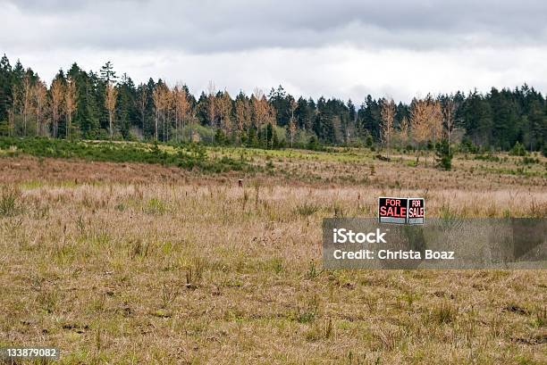 Land For Sale Stock Photo - Download Image Now - Land, Empty, For Sale