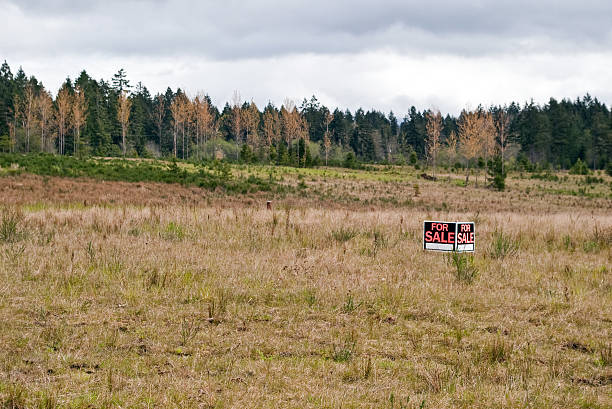 terra para venda - vacant land imagens e fotografias de stock