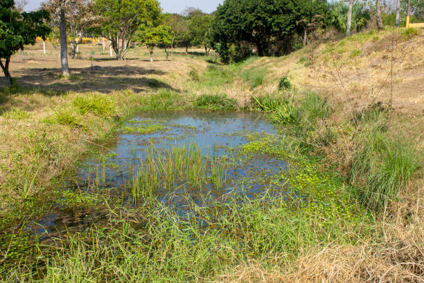 istock water mine in public park 1338791365