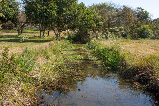 istock water mine in public park 1338791675