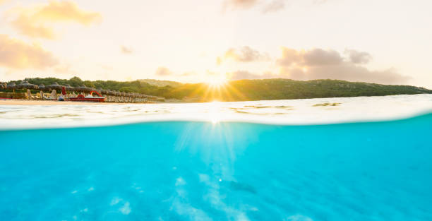 istock (Selective focus) Split shot, over under picture. Crystal clear, turquoise water and some beach umbrellas illuminated during a stunning sunrise. Grande Pevero Beach, Sardinia, Italy. 1338794037