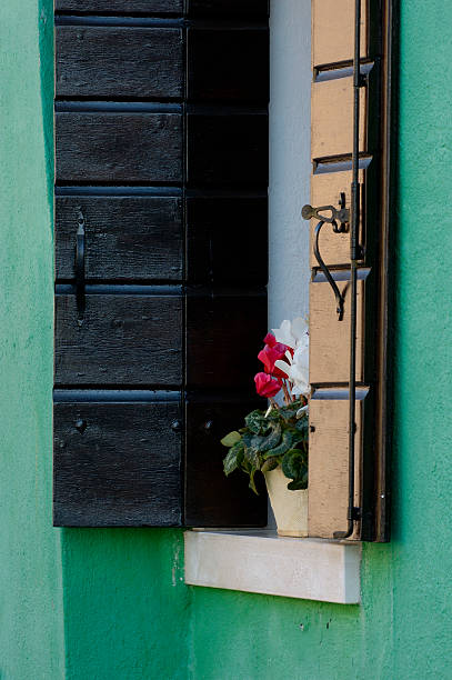 Shutter and Flowerpot, Burano stock photo