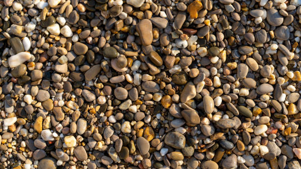 istock Natural background with small sea pebbles on the beach 1338796939