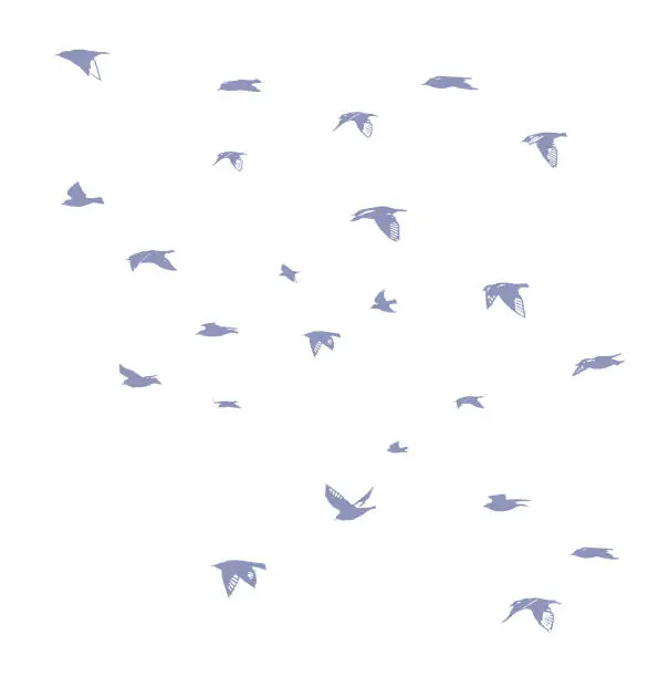 Vector illustration of Large group of Common Swifts
