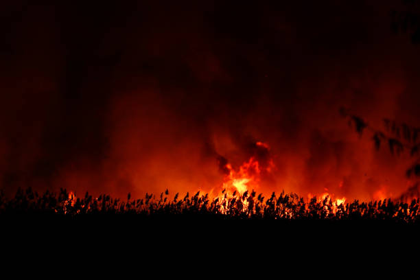 Blurred view. Flames from a dry grass fire at night. Night fire in the field