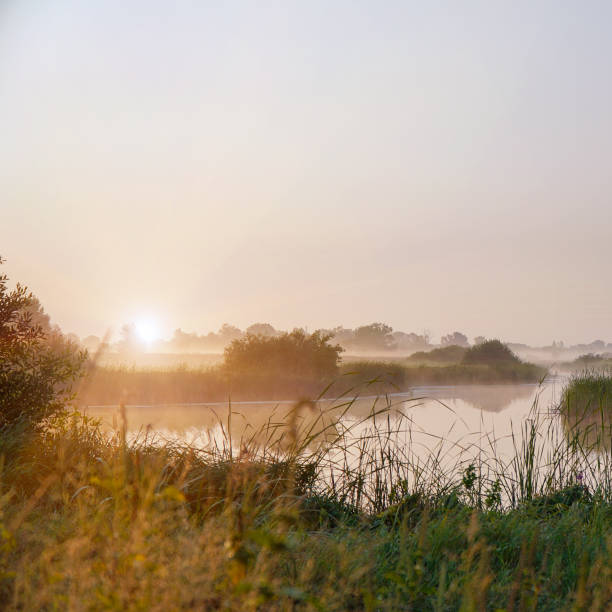 istock Sunrise in a light fog on a small river 1338802139