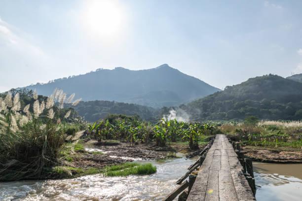 istock An ancient stone bridge leading to the mountains and across the stream 1338802486
