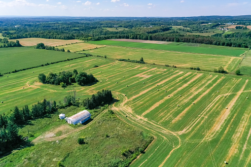 Hay Field-Barn-White barn-Tipton County Indiana