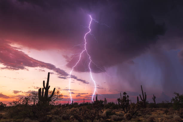 Sunset thunderstorm lightning bolt A lightning bolt strike from a sunset thunderstorm in the Arizona desert. monsoon stock pictures, royalty-free photos & images