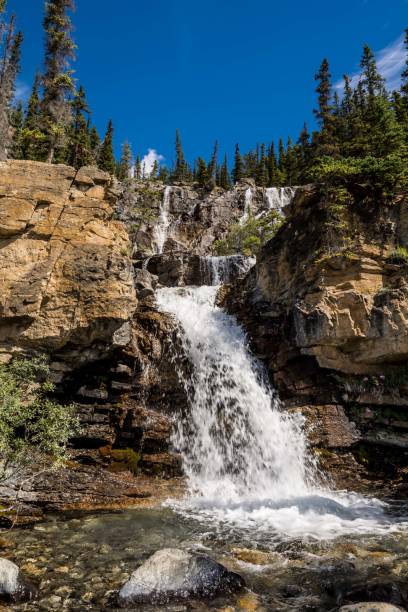 linda cachoeira em cascata. cachoeiras de tangle creek no parque nacional jasper, alberta, canadá - tangle falls - fotografias e filmes do acervo