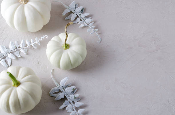 istock Autumn background. White pumpkins on a beige background, selective focus 1338807031