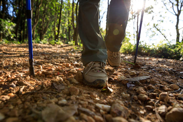 istock Woman hiking in summer forest mountain 1338807117