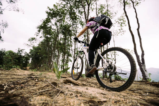 istock Woman cyclist cycling on mountain top forest trail 1338808002