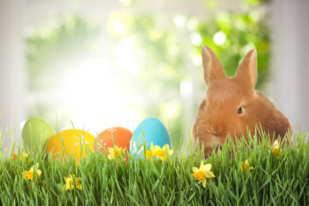 istock Adorable bunny and Easter eggs on green grass 1338810188