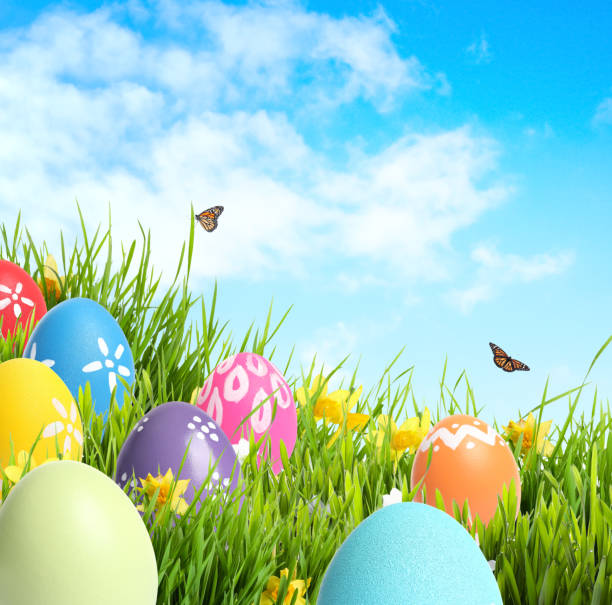 istock Colorful Easter eggs in green grass and butterflies against blue sky 1338810252
