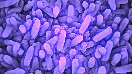 Bacteria Lactobacillus in human intestine,Beneficial healthy intestinal bacterium microflora,Probiotic bacterium
