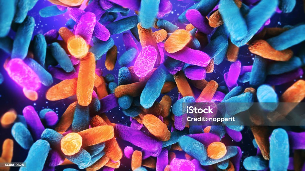 Bacteria Lactobacillus in human intestine Bacteria Lactobacillus in human intestine,Beneficial healthy intestinal bacterium microflora,Probiotic bacterium Microbiome Stock Photo