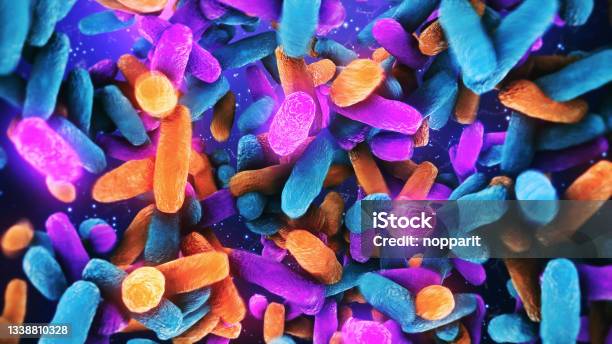 Bacteria Lactobacillus In Human Intestine Stock Photo - Download Image Now - Microbiome, Intestine, Probiotic