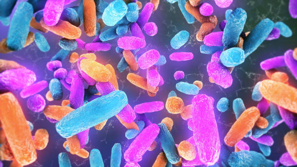 Bacteria Lactobacillus in human intestine Bacteria Lactobacillus in human intestine,Beneficial healthy intestinal bacterium microflora,Probiotic bacterium cell flagellum stock pictures, royalty-free photos & images