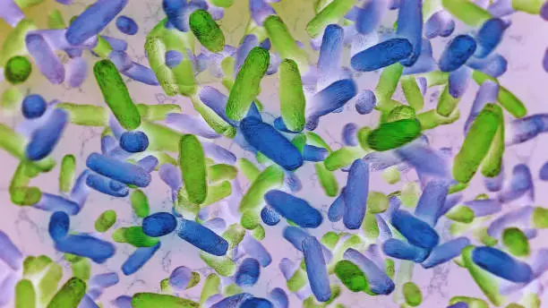 Photo of Bacteria Lactobacillus in human intestine