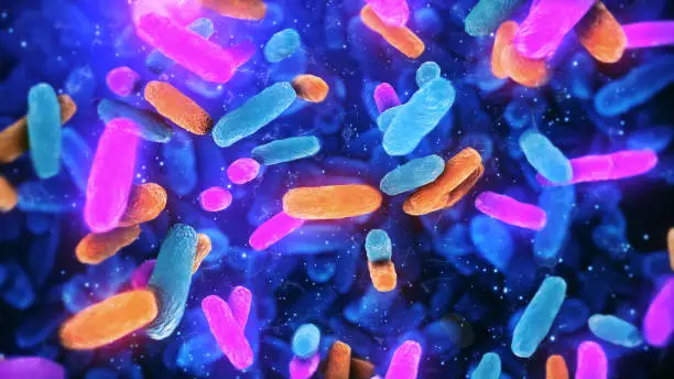 Photo of Bacteria Lactobacillus in human intestine