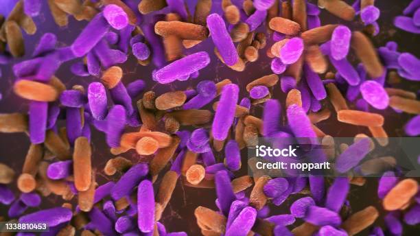 Bacteria Lactobacillus In Human Intestine Stock Photo - Download Image Now - Microbiome, Skin, Abdomen