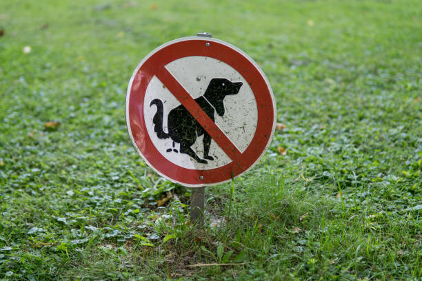 istock white sign with red circle, not allowed for dogs to poo here 1338812379