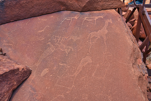 Site of ancient petroglyphs. Carved with giraffes, horses and other animals. The petrified forest and the World Heritage Site of Twyfelfontein (Ui-Ais), Namibia. october 2019