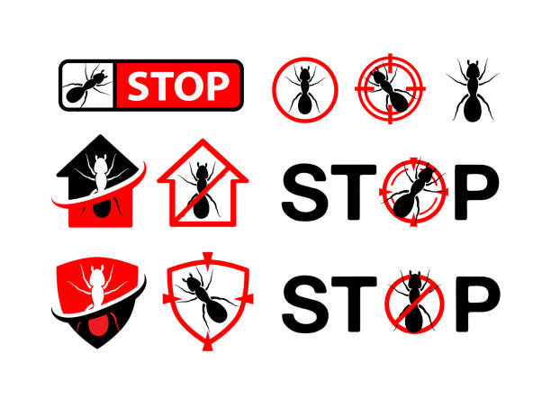istock Pest control badges set. Design elements, labels and stickers, danger and stop signs with ant silhouette 1338814807