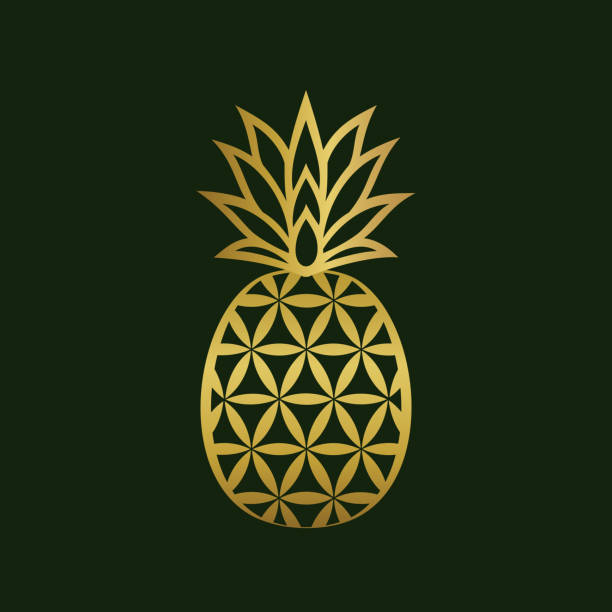 Golden creative pineapple logo design Golden geometric pineapple logo design to incorporate flower of life and pineapple incorporated in one. Abstract logo, symbol, emblem or icon of tropical fruit in golden color. Vector illustration. insignia healthy eating gold nature stock illustrations