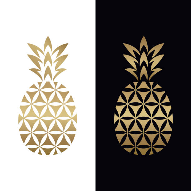 Golden geometric pineapple logo design Golden geometric pineapple logo design to incorporate flower of life and pineapple incorporated in one. Abstract logo, symbol, emblem or icon of tropical fruit in golden color. Vector illustration. insignia healthy eating gold nature stock illustrations