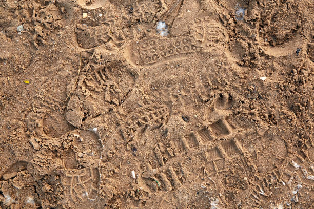 istock feet prints on a sand, abstract background 1338817550