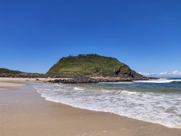 istock Cellito Beach, Forster, New South Wales 1338819313