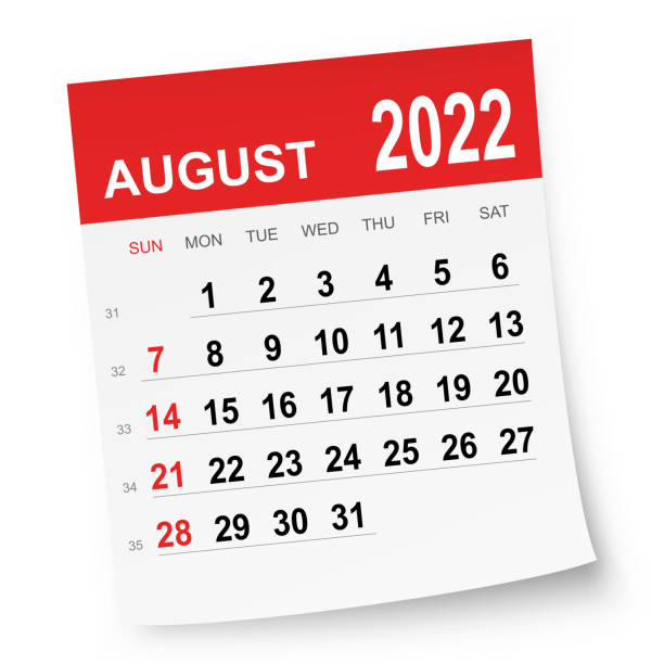 august 2022 kalender - august calendar stock-grafiken, -clipart, -cartoons und -symbole