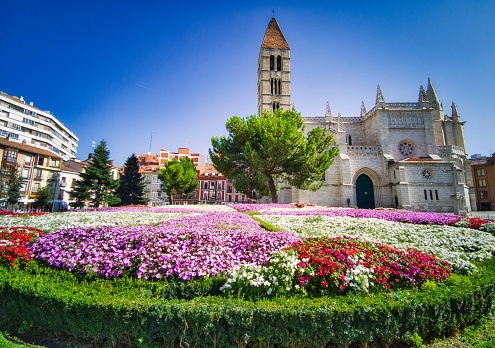 Parterre of beautiful flowers at the end of summer in the square of the Elizabethan Gothic church of Santa María la Antigua in Valladolid, Spain