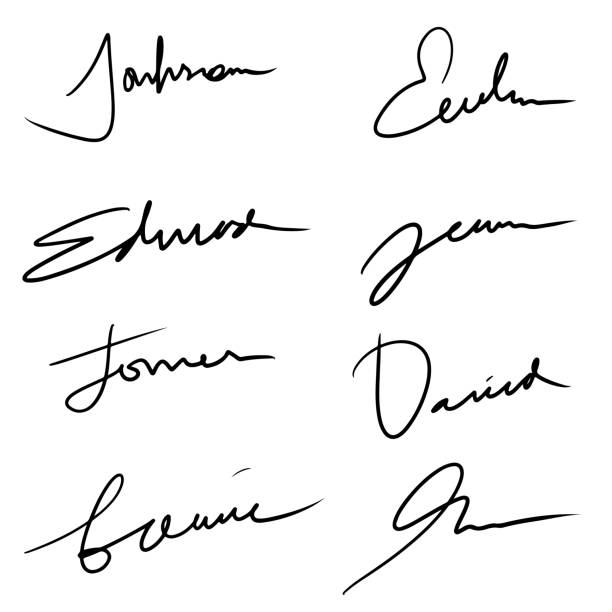 Hand lettering lines - signature lines isolated on white background. vector Illustration. Hand lettering lines - signature lines isolated on white background. vector Illustration. signature collection stock illustrations