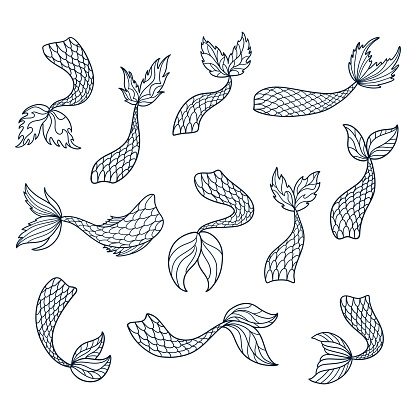 Set of doodle mermaid tail silhouettes. Hand drawn outline marine elements. Vector illustrations isolated on white background.