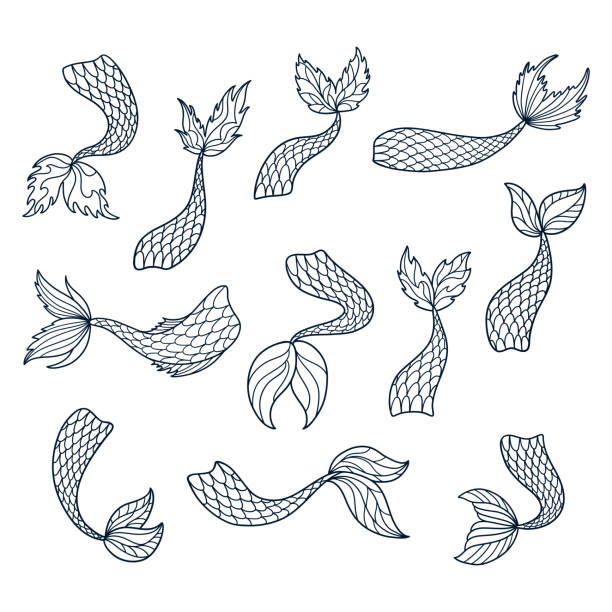 Set of doodle mermaid tail silhouettes. Set of doodle mermaid tail silhouettes. Hand drawn outline marine elements. Vector illustrations isolated on white background. animal skin flash stock illustrations
