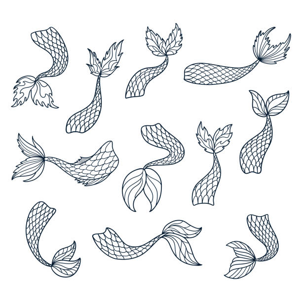 https://media.istockphoto.com/id/1338833587/vector/set-of-doodle-mermaid-tail-silhouettes.jpg?s=612x612&w=0&k=20&c=6cxaCBs26DoEOaPE0xwCPUFDczGYmXoLx3PcRShzaCY=