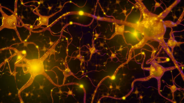 istock Neuronal network with electrical activity of neuron cells,3d rendering. 1338834808