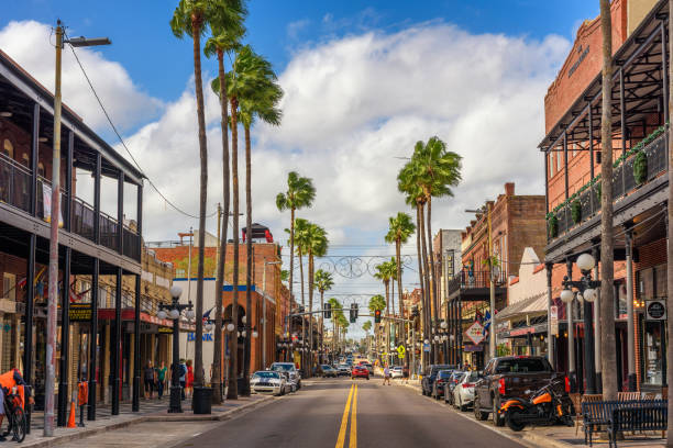 Tampa - Banco de fotos e imágenes de stock - iStock Tampa - Banco de fotos e imágenes de stock - iStock