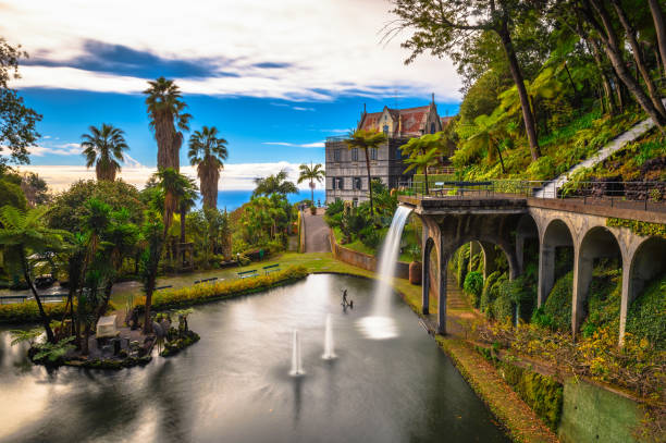 ポルトガル、マデイラ島フ�ンシャルにあるモンテパレス庭園の噴水 - monte palace ストックフォトと画像