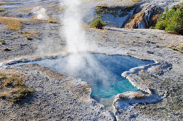 cieplica yellowstone, wyoming - cieplica zdjęcia i obrazy z banku zdjęć