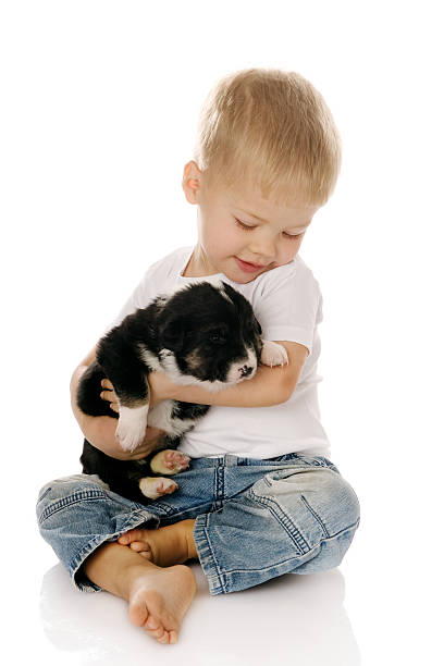 istock The boy with a puppy 133884302