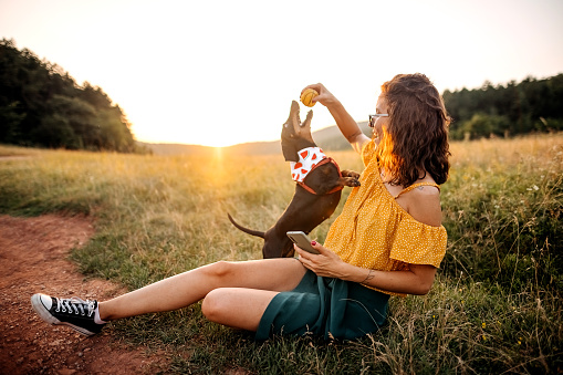 Young woman playing with dog in meadow, enjoying summer in nature