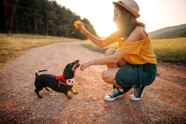 istock You have to listen to me 1338845949