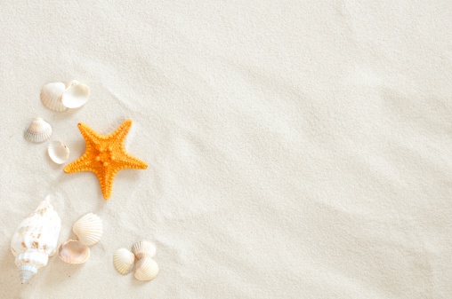 Starfish and seashell on the summer beach in sea water. Summer background. Summer time
