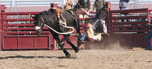 カウボーイの Bucking 馬 ストックフォト